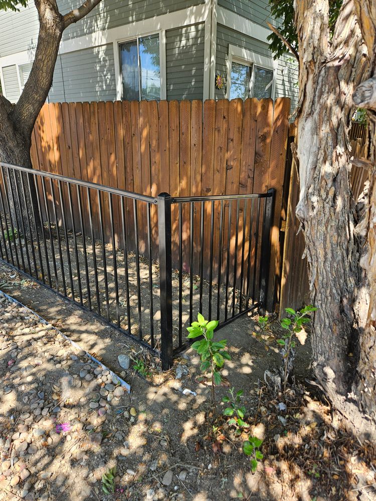 All Photos for NGL Landscape Company in Denver, CO