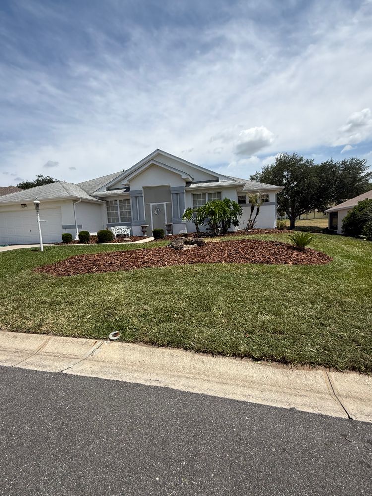 All Photos for Amerigrown Tree And Lawn in Apopka, FL
