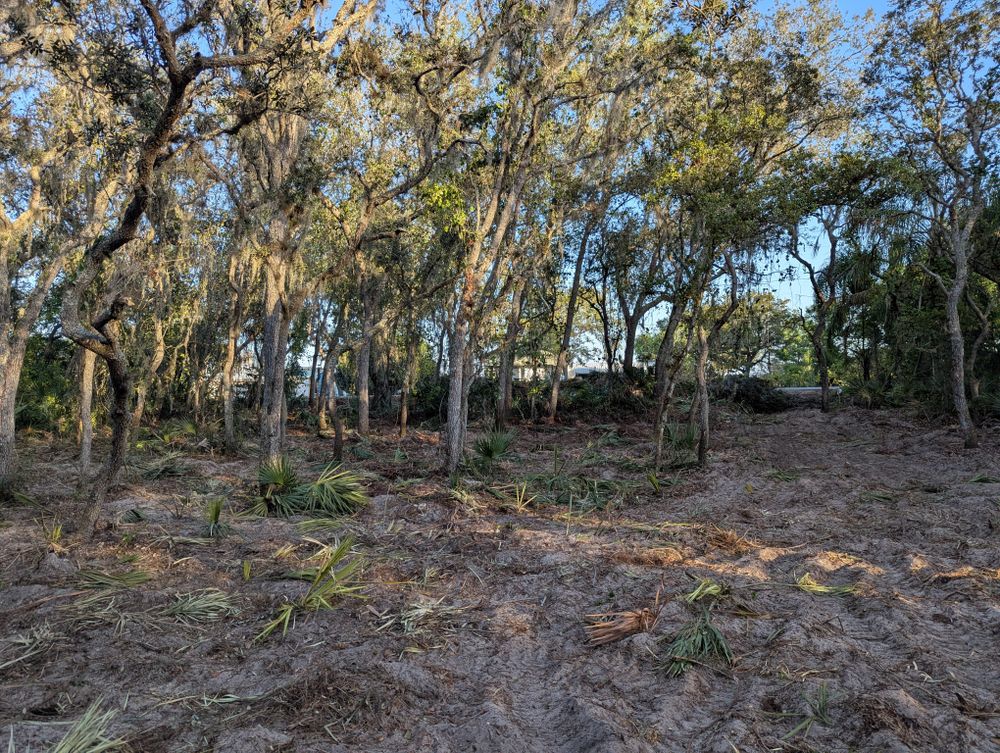 All Photos for Regal Tree Service and Stump Grinding in Wauchula, FL