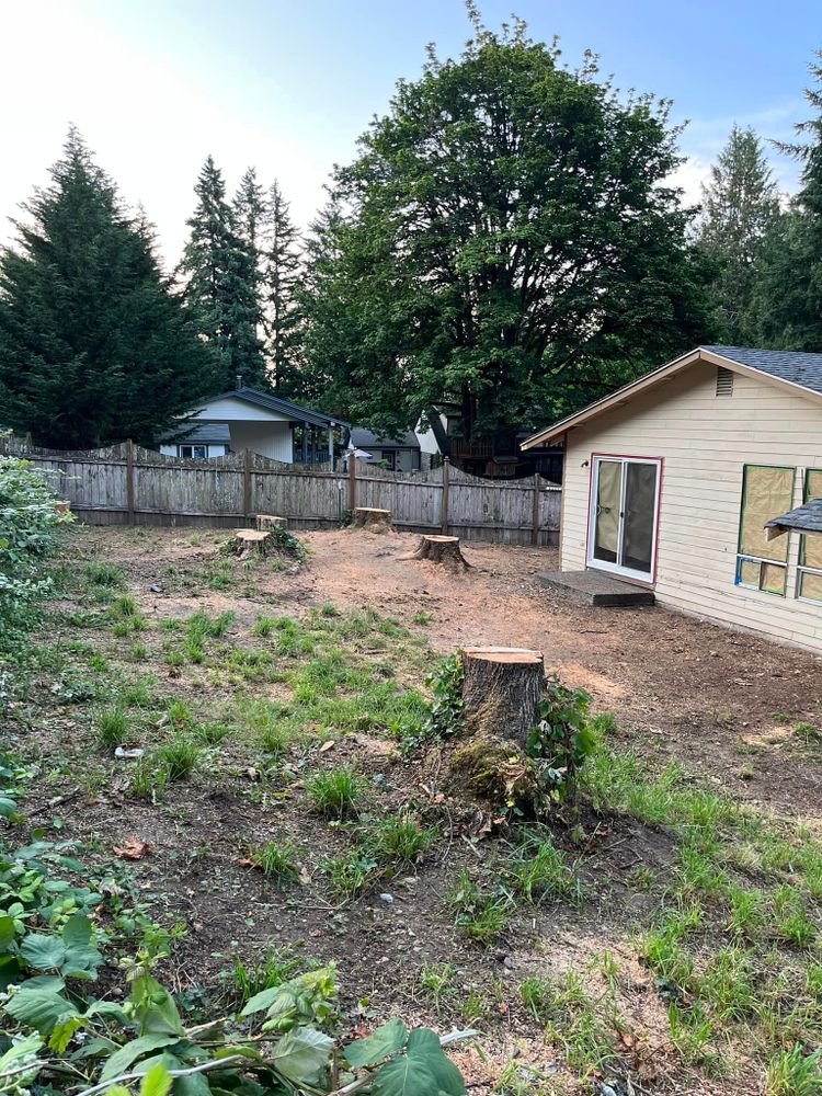 Tree Removal for Puget Sound Tree LLC in Bremerton, WA