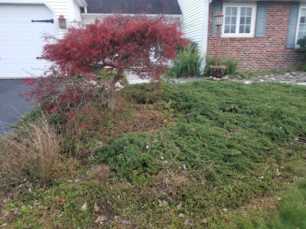 All Photos for Down Home Landscaping in Stillwater, PA