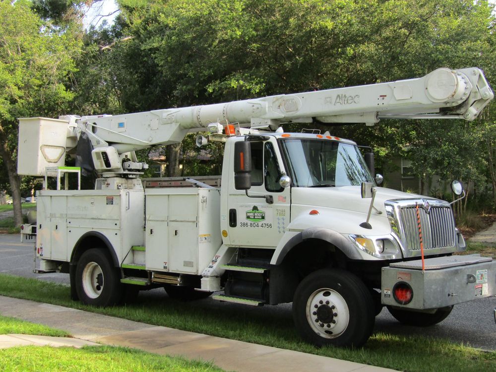 Tree Removal for Daniel Hickey’s Tree Service in DeLand, FL