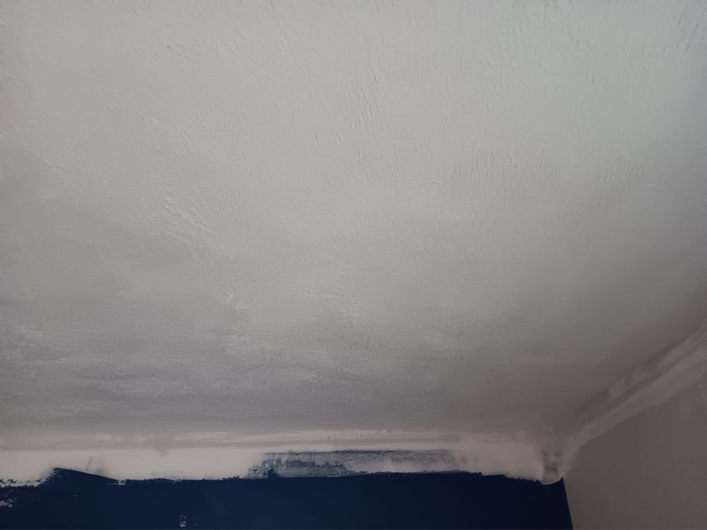 Subfloor repair and Beam Shoring for Dead Tree General Contracting in Carbondale, Illinois