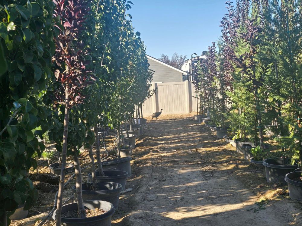 All Photos for Mike's Grading Plus in Caldwell, ID