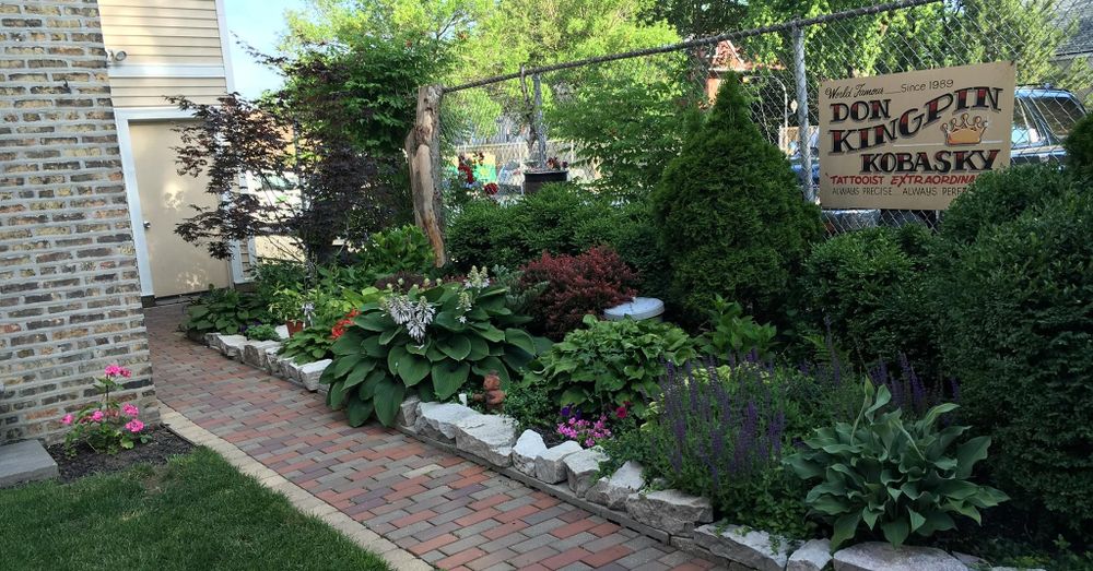 All Photos for CSI of Chicago in Springfield, IL