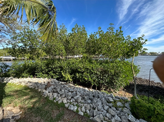 All Photos for MX Trees LLC in Englewood, FL