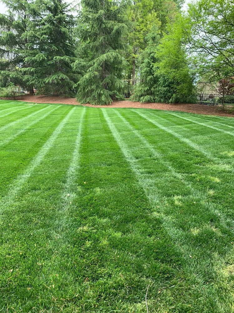 All Photos for Zotelo’s Lawncare LLC in Winston-Salem, NC