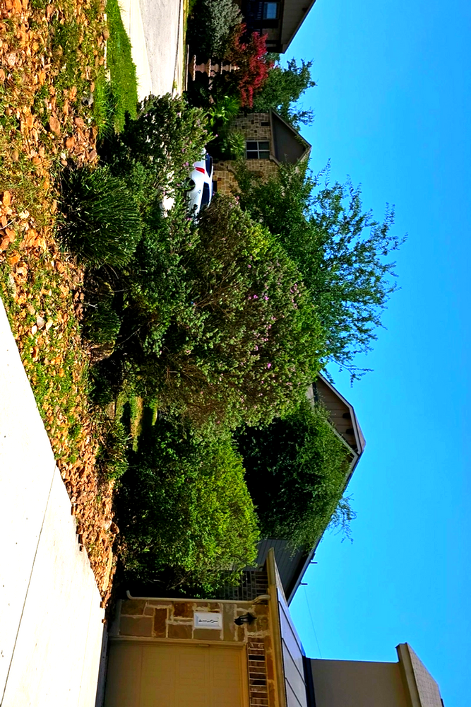All Photos for Miller Mowing and Maintenance in San Antonio, TX