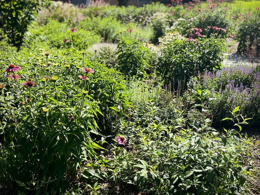 All Photos for Christina King Landscape Design in West Raleigh, NC