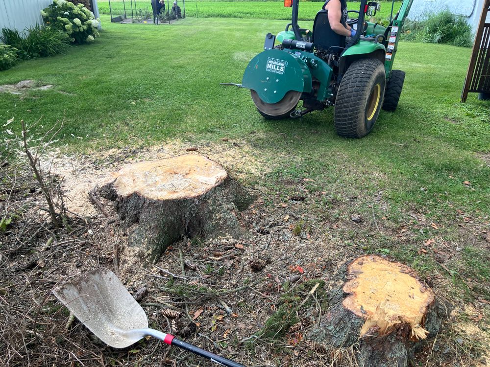 Our professional stump grinding service efficiently removes unsightly tree stumps, enhancing your landscape’s beauty and safety while preventing future pest infestations. Our team ensures a smooth, clean finish for immediate lawn improvements. for Brush Busters in Wausau, WI