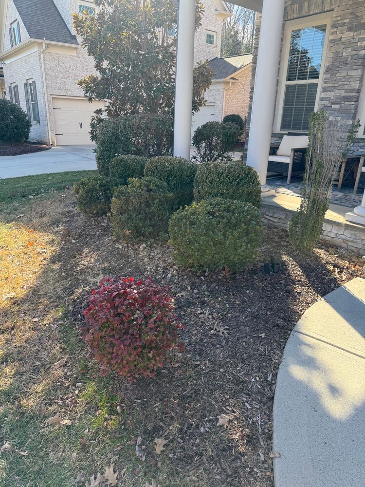 Before for Dream Cuts Landscaping and Lawn Care LLC in Gastonia, NC