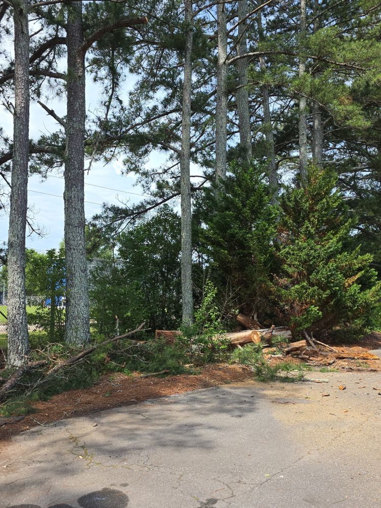 All Photos for R&P Tree Service LLC in Greenwood, SC