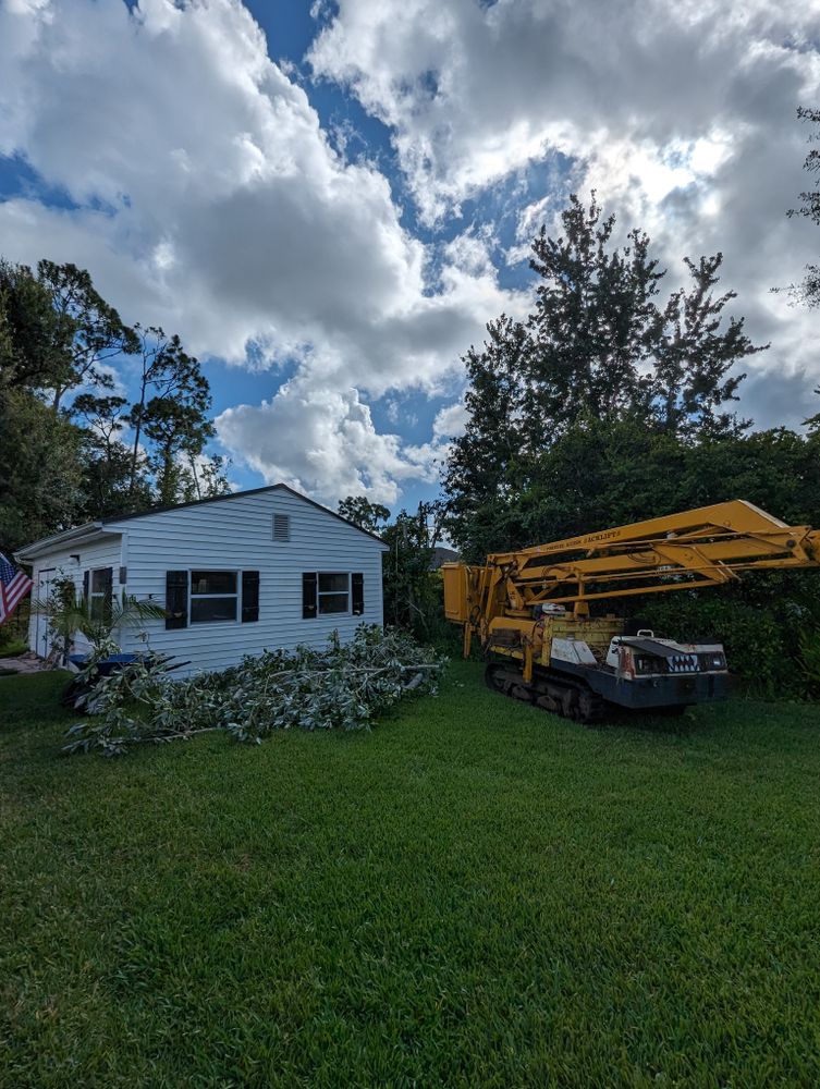 All Photos for Regal Tree Service and Stump Grinding in Wauchula, FL
