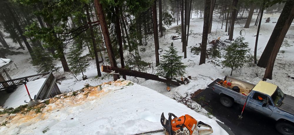 All Photos for George Staddan's Professional Tree Care in Placerville, CA