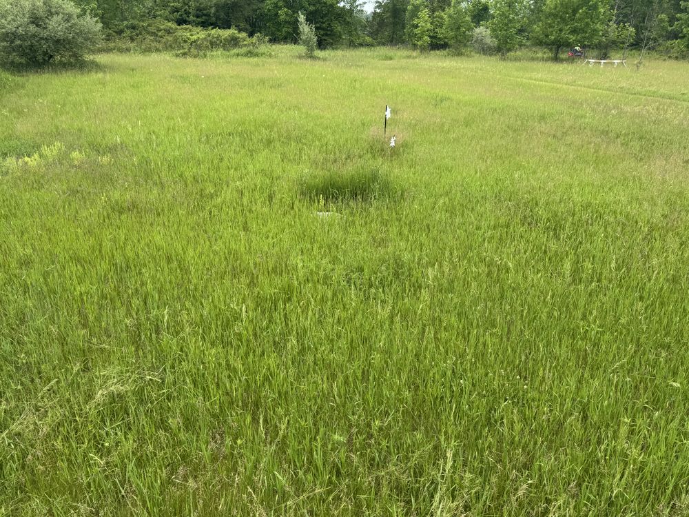 Landscaping Lawn Care for Daugherty's Tough Lawn Care in Essexville, MI