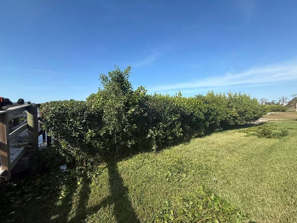 All Photos for MX Trees in Englewood, FL