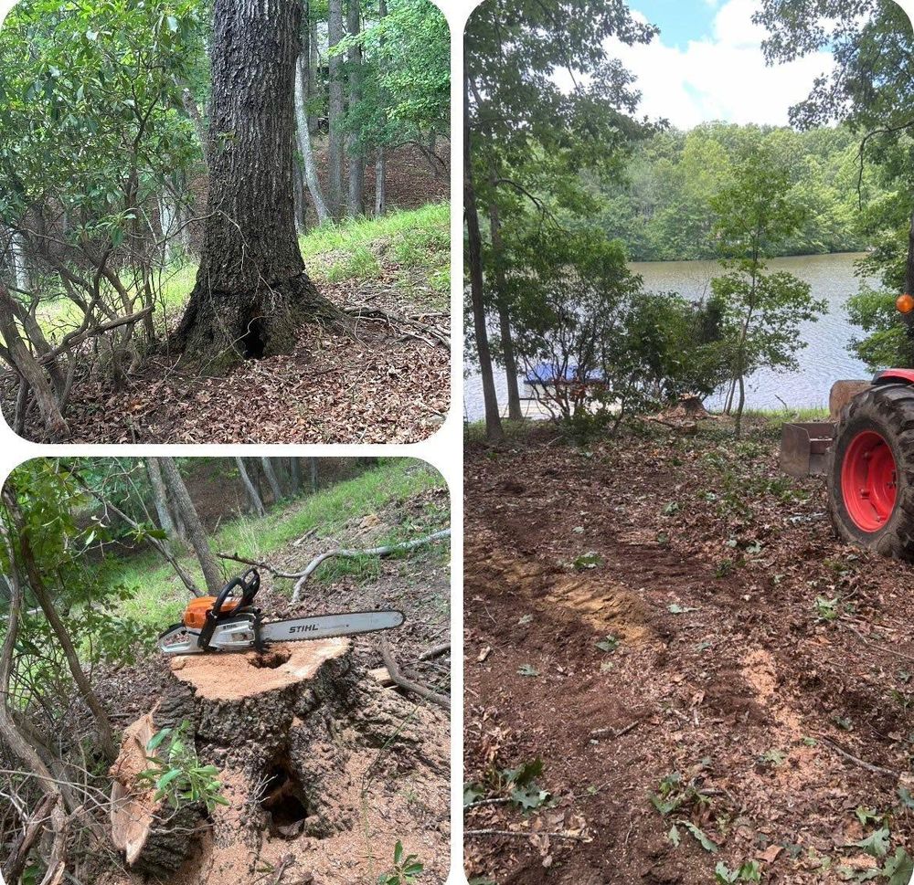 All Photos for McBee’s Tree Service in Sewanee, TN