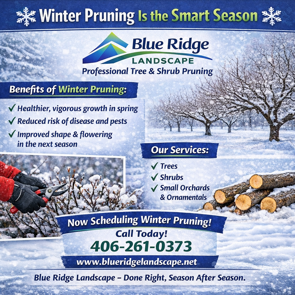 All Photos for Blue Ridge Landscape in Polson, MT