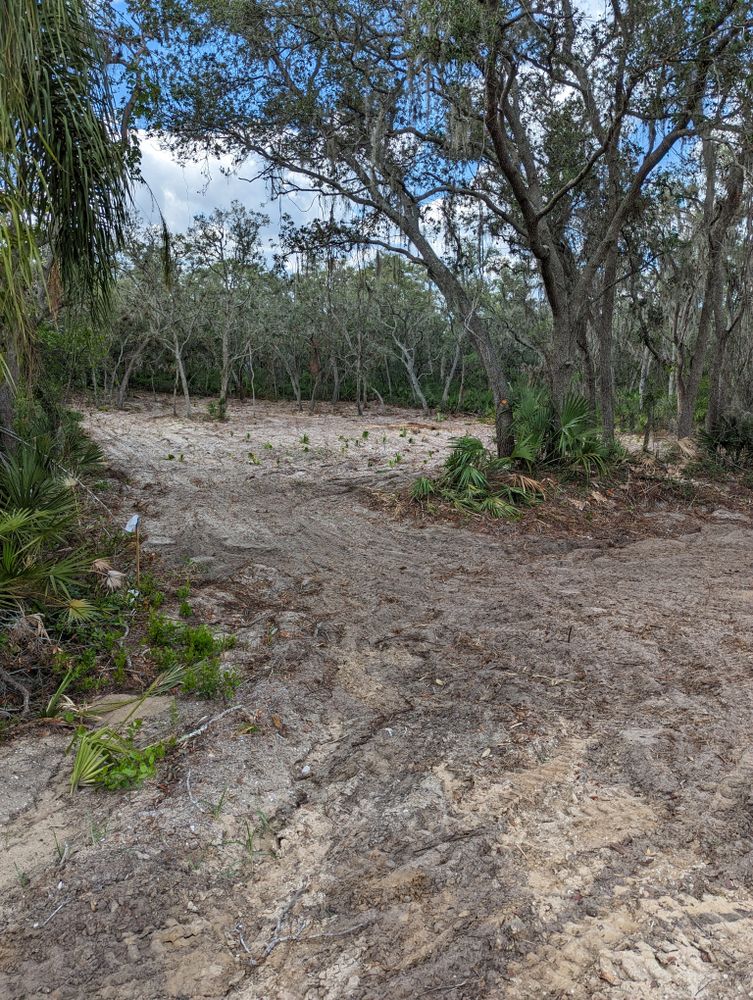 All Photos for Regal Tree Service and Stump Grinding in Wauchula, FL