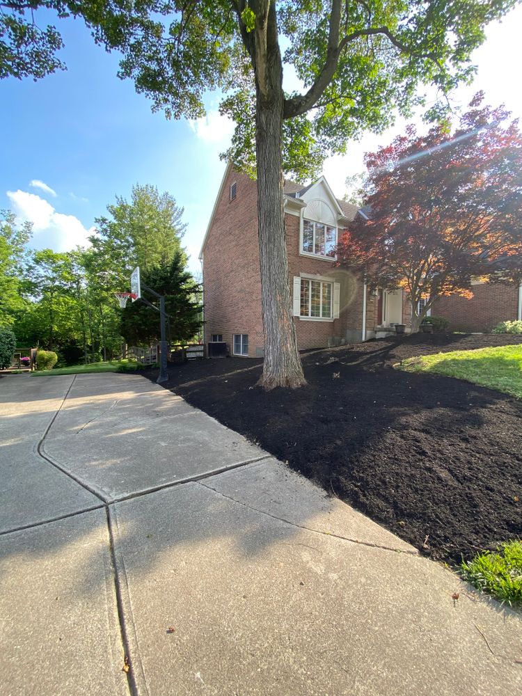 All Photos for Castle JR Landscaping & Painting LLC in Cincinnati, OH