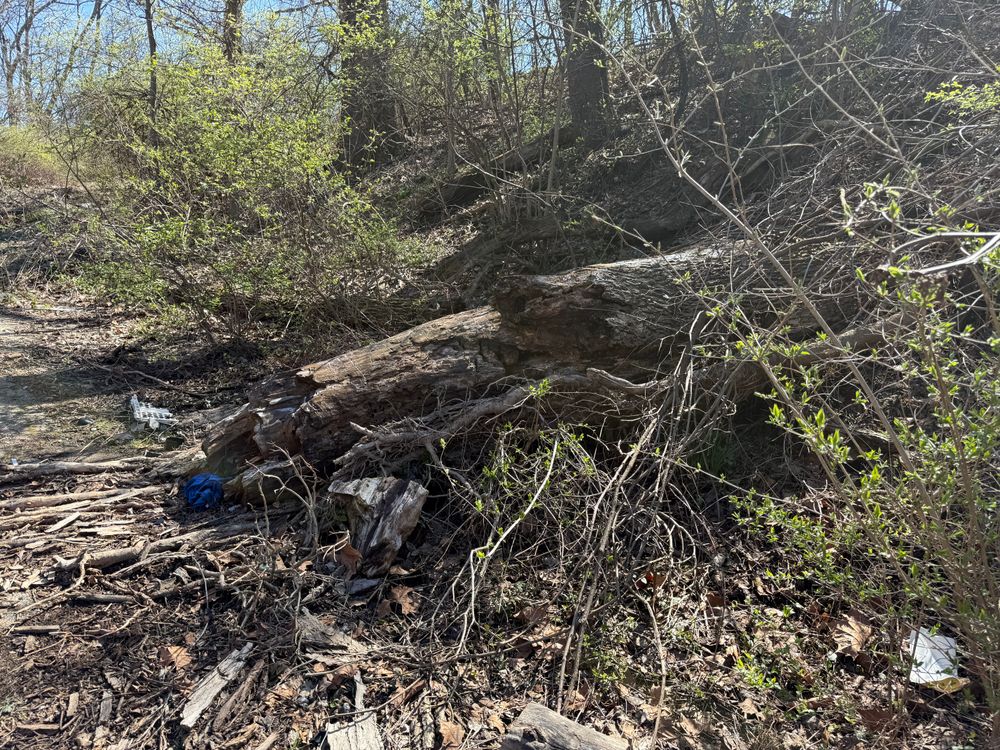 All Photos for A1 Bush Hogging & Lawn Service in London, OH