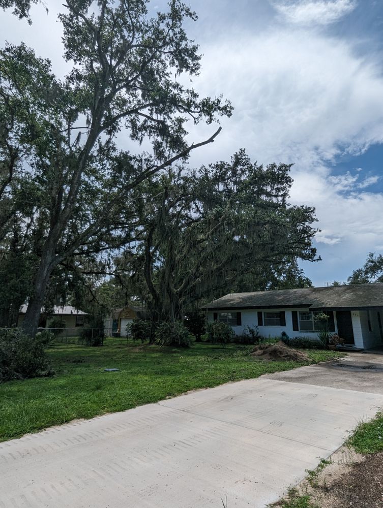 All Photos for Regal Tree Service and Stump Grinding in Wauchula, FL