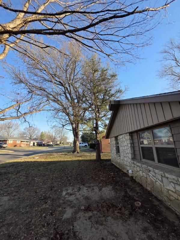 All Photos for Oklahoma Tree Guy in Bartlesville, OK