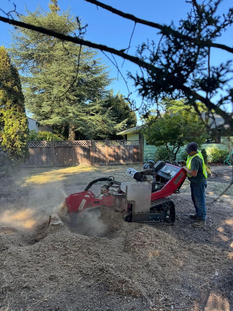 All Photos for Willamette Landscaping and Tree Services in Albany, OR