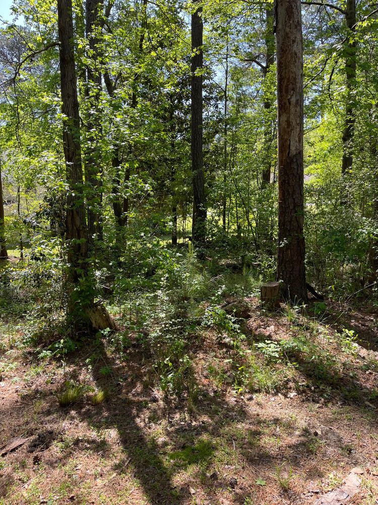 All Photos for G&H Forestry Mulching and Land Services in Fayetteville, GA