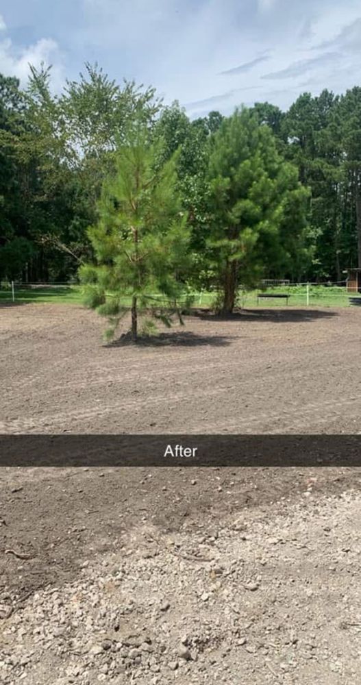 Our Land Clearing service efficiently removes trees, shrubs, and debris, creating a clean slate for your landscaping or construction projects while ensuring safety and environmentally friendly disposal methods. for Untamed Services in Shawboro, NC