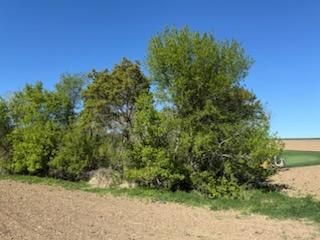 All Photos for Dittrich Excavating in Altura, MN