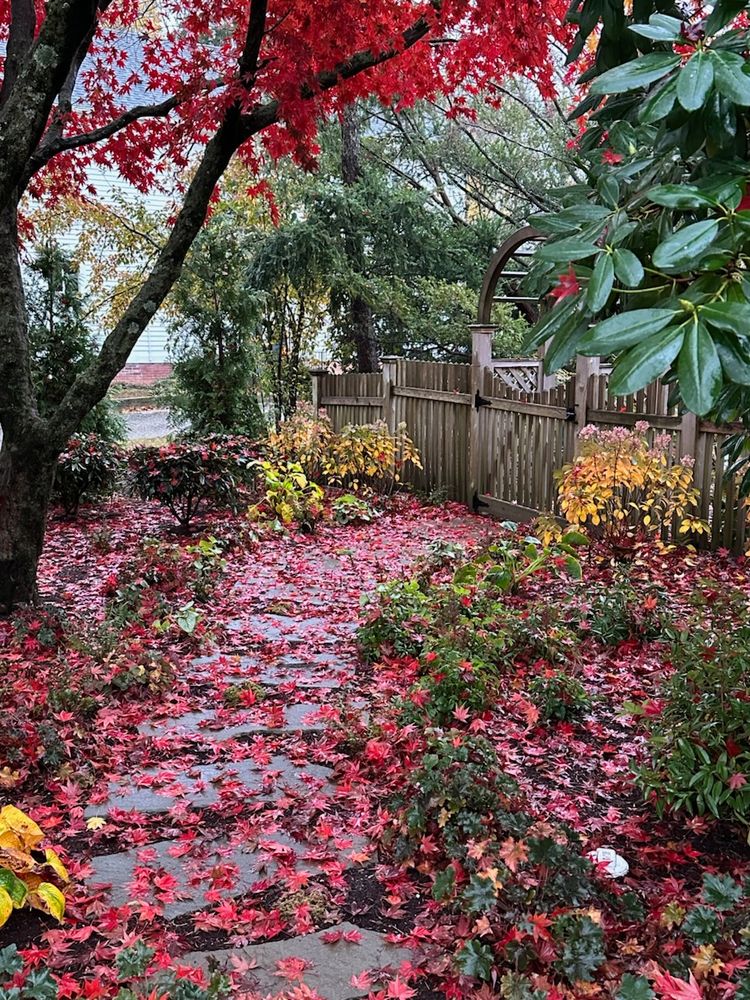 All Photos for M.J. Construction & Landscape INC in Bristol, RI