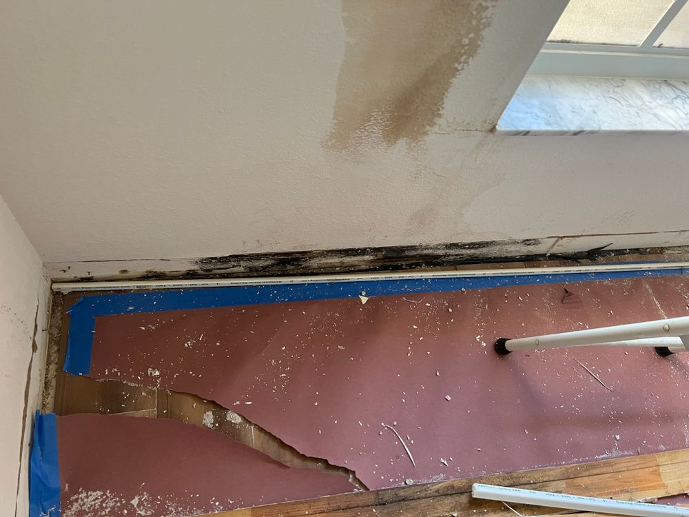 Mold Remediation for N&D Restoration Services When Disaster Attacks, We Come In in Cape Coral,  FL