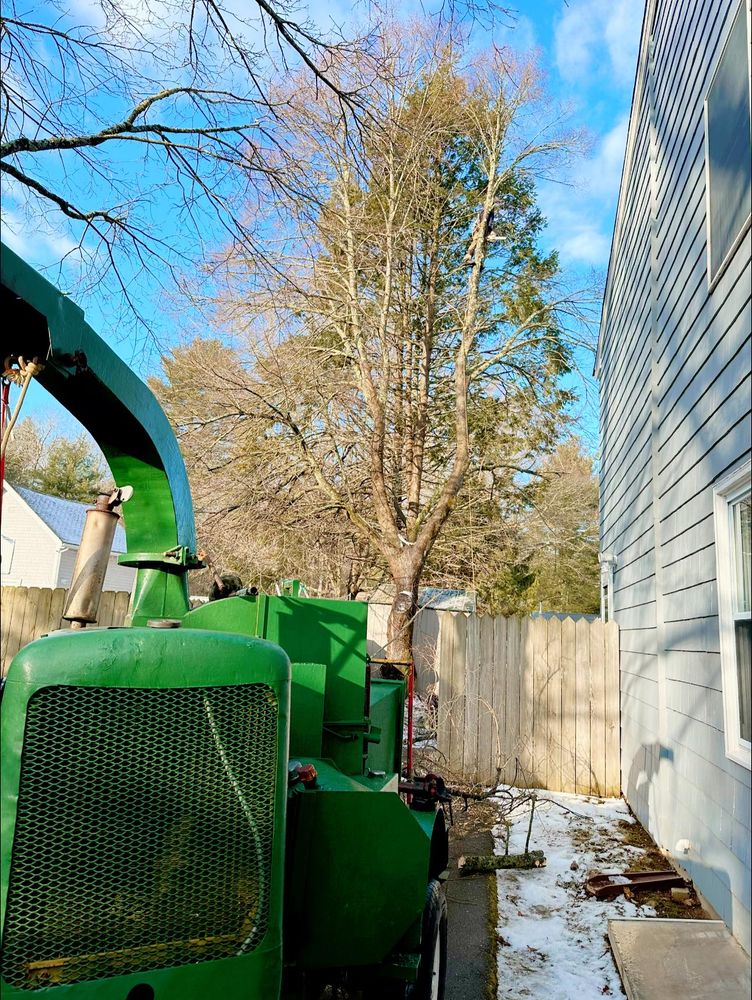 Other Services for Silver City Tree and Landscape in Taunton, MA