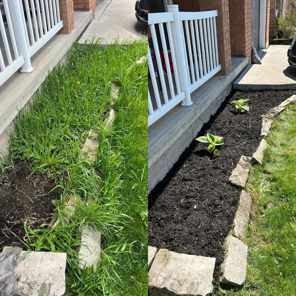 Landscaping  for CMN Exterior Maintenance in Hamilton, ON