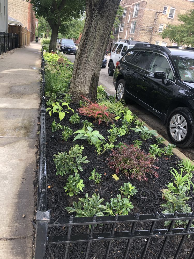 All Photos for CSI of Chicago in Springfield, IL