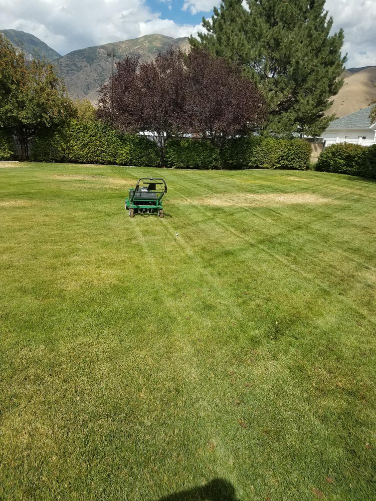 Lawn Care for Platinum Lawn Service in Santaquin, UT