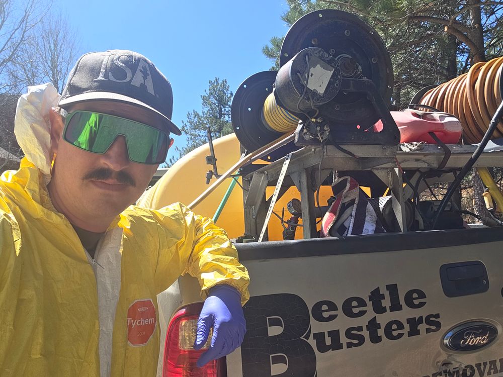 All Photos for Beetle Busters LLC in Centennial, CO