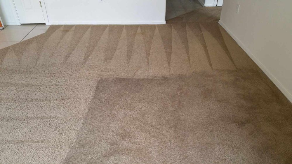 All Photos for Pro Clean Carpet Care in Sierra Vista, AZ