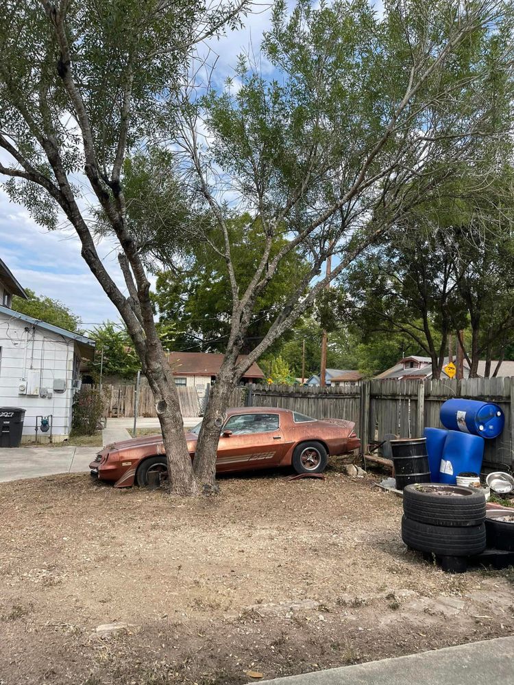 Tree Removal for Neighborhood Lawn Care and Tree Service  in San Antonio, TX