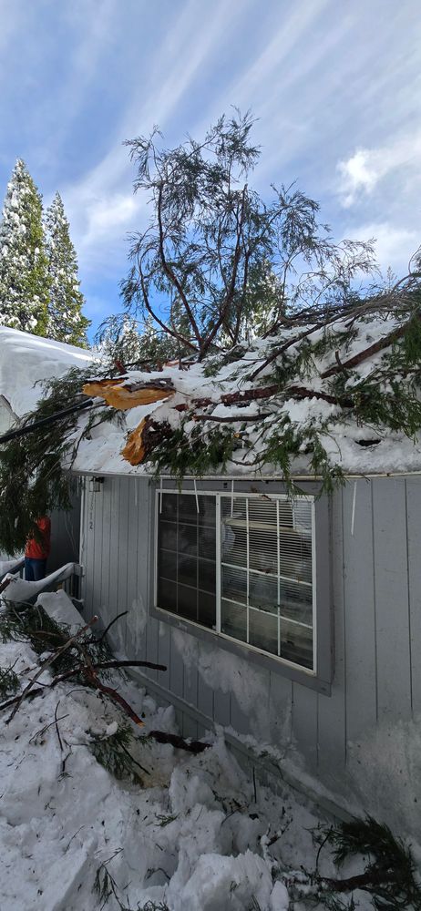 All Photos for George Staddan's Professional Tree Care in Placerville, CA