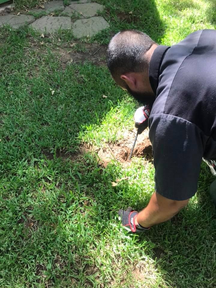 Toppers Wildlife Removal team in Garland, TX - people or person