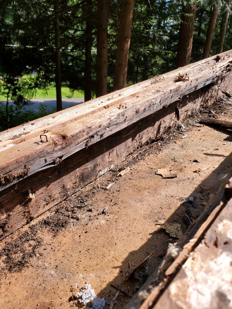 All Photos for Home Pros in Maple Falls, WA