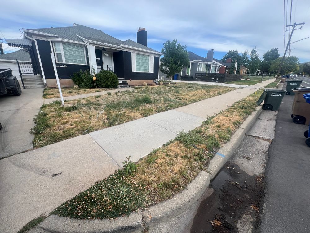 All Photos for Mount Olympus Landscaping in South Jordan, UT