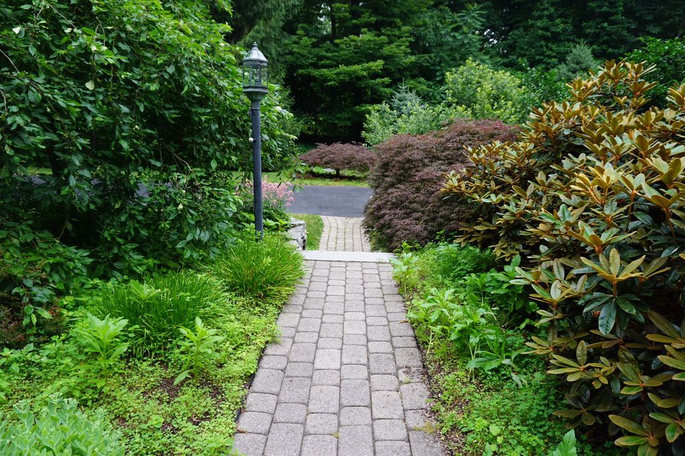 Landscaping for Sousa Landscape Design and Services in Madison, CT