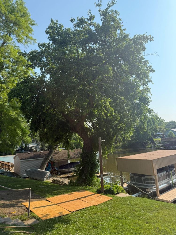 All Photos for Hunnicutt’s Tree Service L.L.C. in Monticello, IN