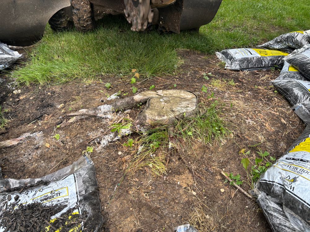 All Photos for Conrad's Stump Removal in Columbus, IN