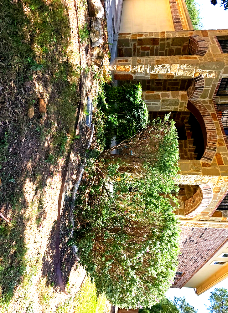 All Photos for Miller Mowing and Maintenance in San Antonio, TX