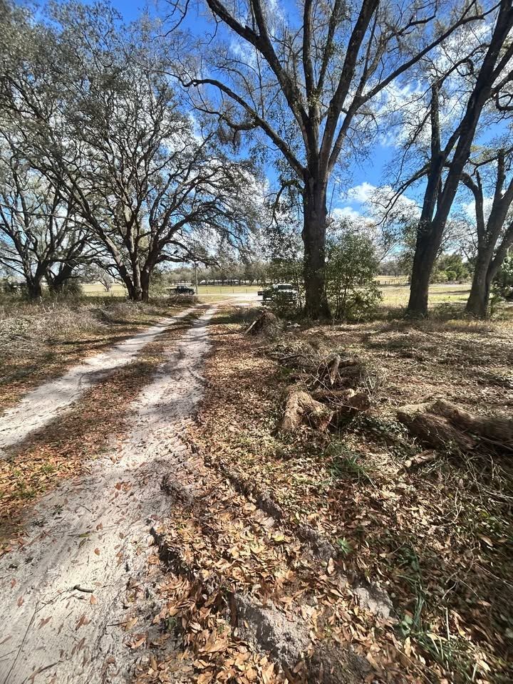 All Photos for Trinity Land Solutions in Brooksville, FL