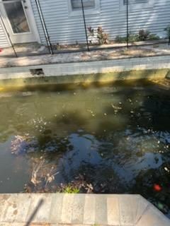 All Photos for Blue Bay Pools in Tampa, FL